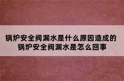 锅炉安全阀漏水是什么原因造成的 锅炉安全阀漏水是怎么回事